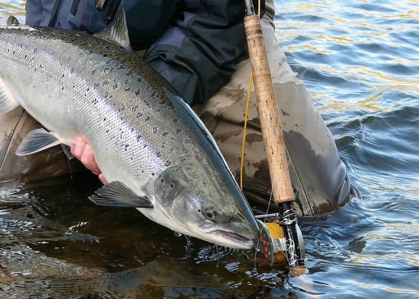 Аренда авто для поездок на рыбалку РЫБАЛКА В МУРМАНСКОЙ ОБЛАСТИ