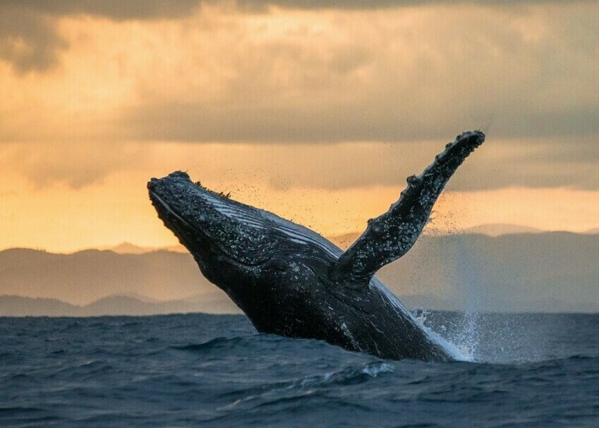 Аренда авто для поездки в Териберку ПОСЕЛОК "ТЕРИБЕРКА"