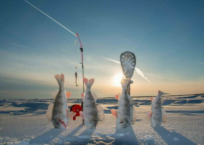 Аренда авто для поездки на Рыбалку Рыбалка на Кольском